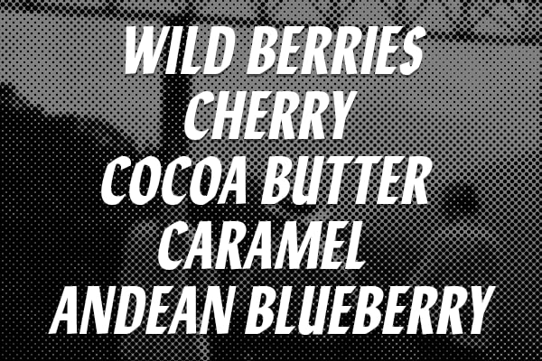 Café 100% Colombiano en Grano Wild Forest House Blend 12 oz miniatura 5