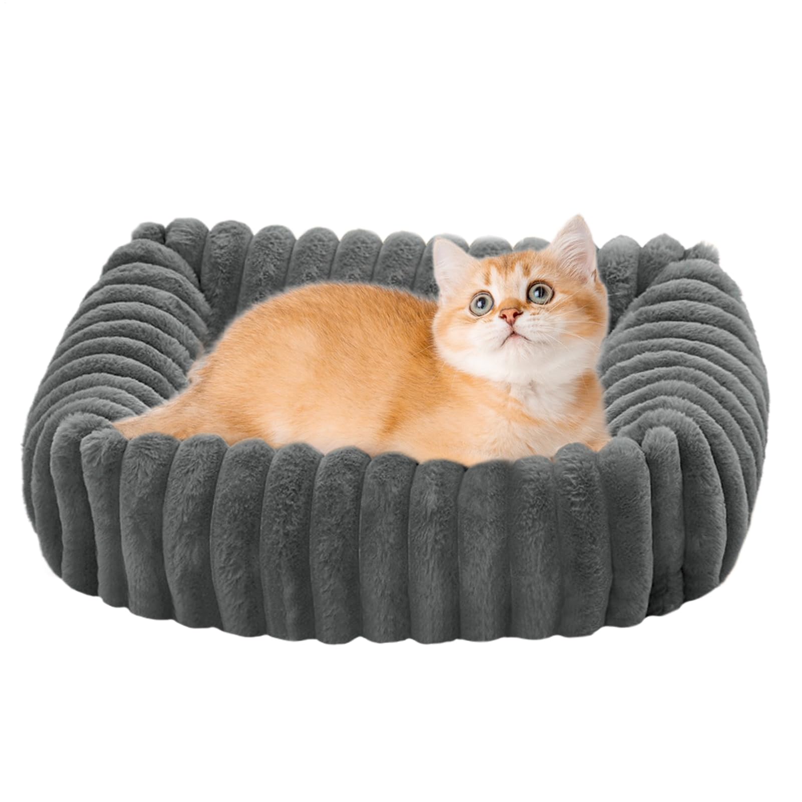Lit Chat Auto-Chauffant Coussin Canapé pour Animaux | Tapis Lit Chat Amovible Lavable Maison Balcon Salon Chambre Bureaux Coin Sol Extérieur Intérieur