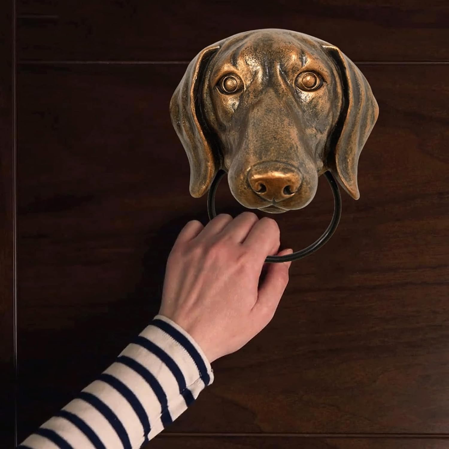 TIST Iron Door Knocker Vintage Creative Resin Animal Head Door Handle Classical Knockers for Front Door Door Ring Knocker Home Decor Surface-Mounted Installation(B(17 * 3.5 * 13.5cm))