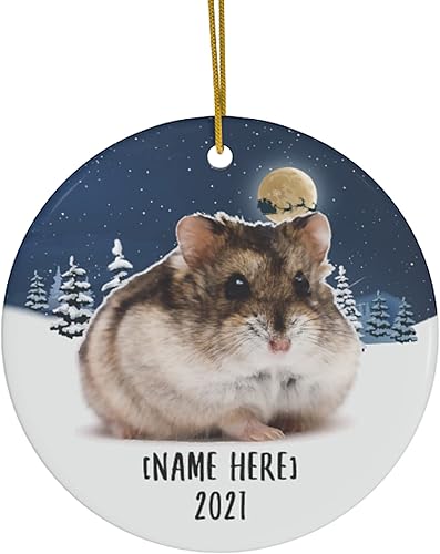 Adornos de hámster gris para árbol de Navidad 2023, regalos personalizados con nombre, decoraciones de Año Nuevo, círculo blanco