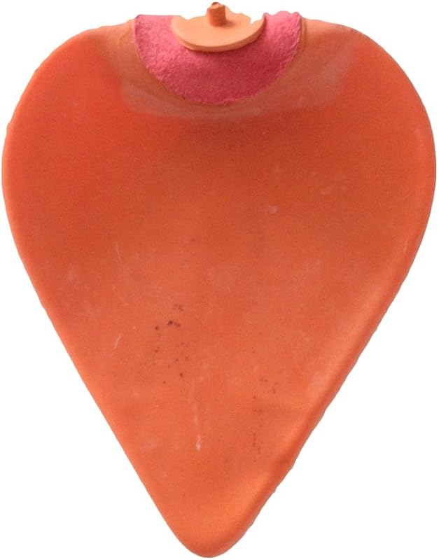 Boxing Speedbag Replacement Bladders – Latex Bladders for Regular Speedbags, Single End Punch Balls & Double End Speedbags – Durable, High-Performance, Easy to Inflate