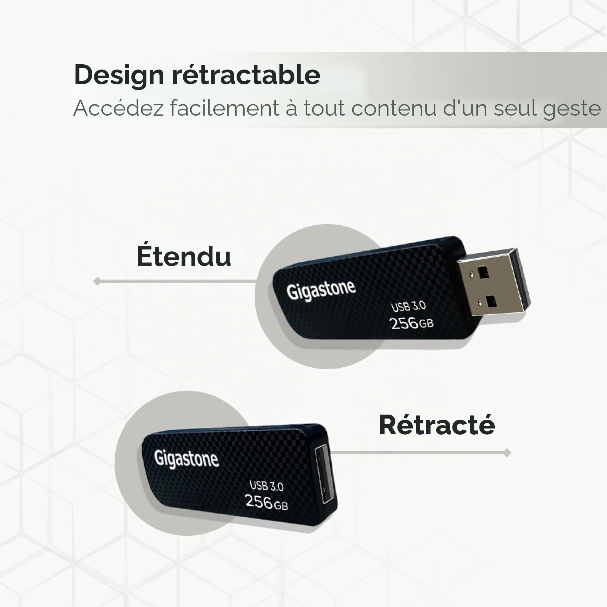 GIGASTONE 256Go Clé USB, Z30 USB 3.2 Gen 1, 100Mo/s Ultra Rapide, Boucle Porte-clés, Design Coulissant, Stockage et Sauvegarde pour PC/Mac/TV/Voiture, USB 2.0/3.0/3.1 Compatible