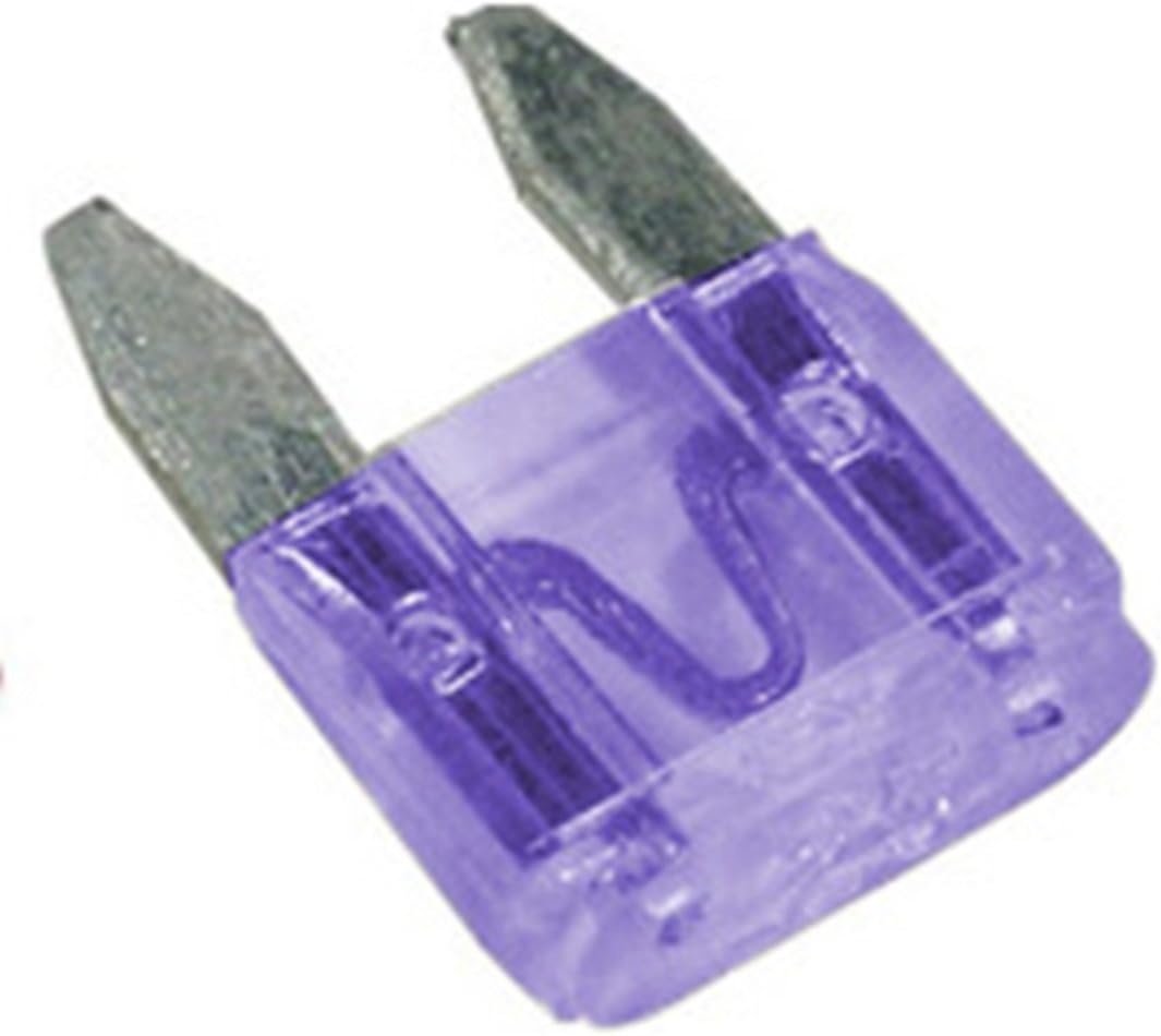 Pearl PWN1081 Fuse Blade Mini with Breakout Wire 10 A Amazon.co.uk Automotive