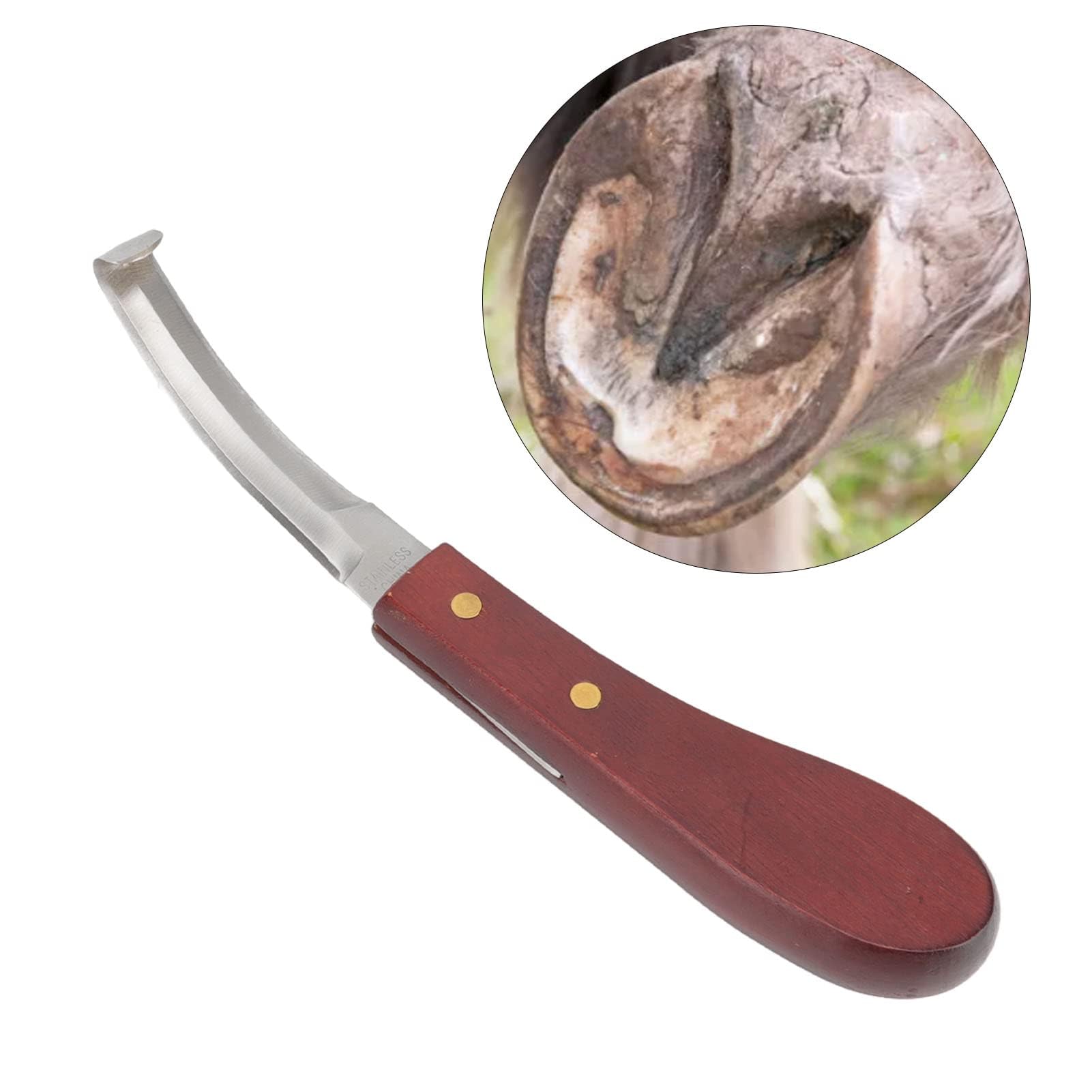 Zerodis Rasoio per Coltello per Zoccolo, Lama a Doppia Faccia in Acciaio Inossidabile Manico Ergonomico in Legno Coltello per Zoccolo Coltello per Zoccolo Maniscalco