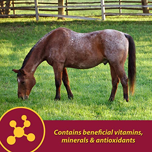 Farnam Senior Health & Wellness Supplement, 3.75 lb.