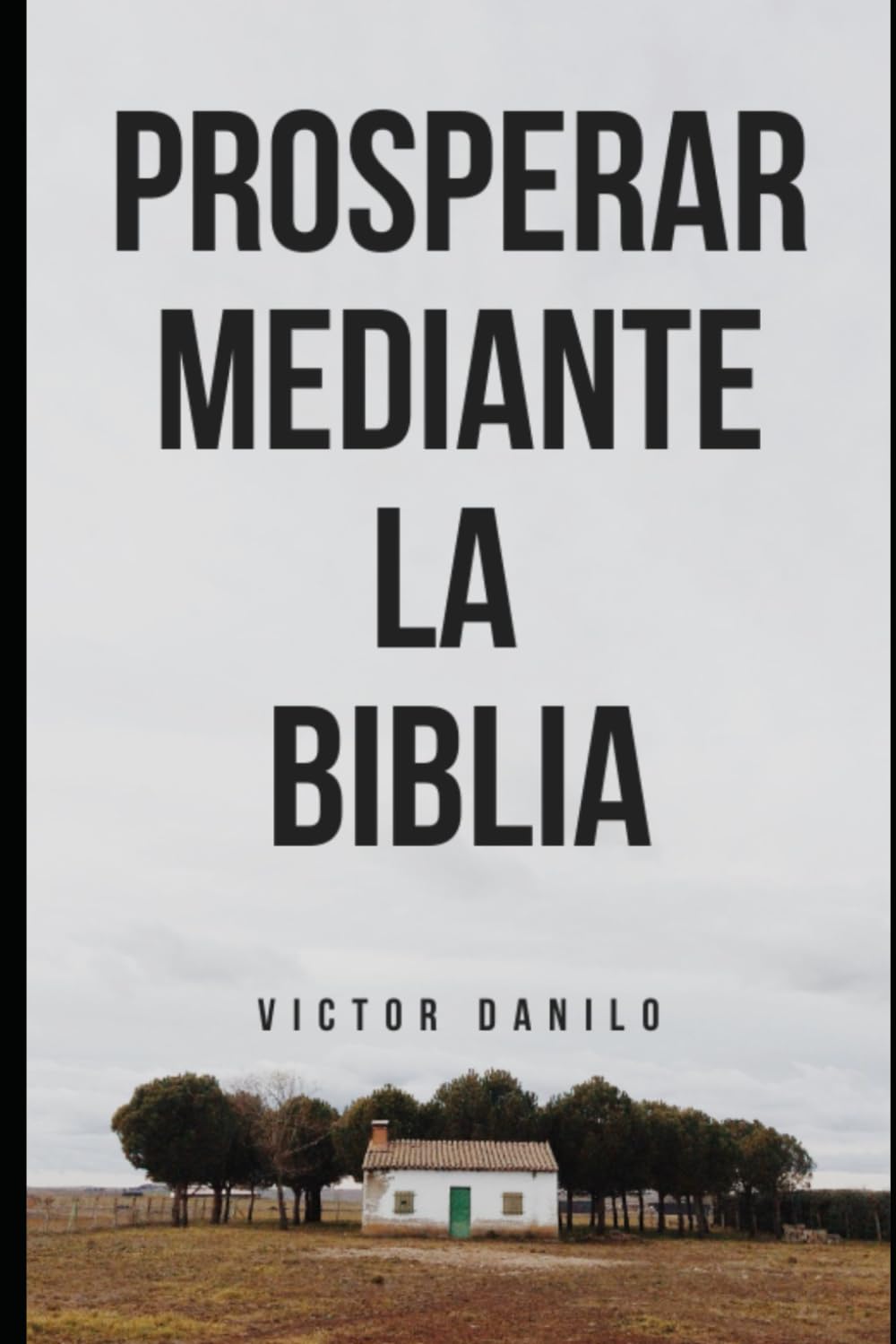 Prosperar a través de la Biblia: Cómo prosperar siguiendo principios espirituales eternos.