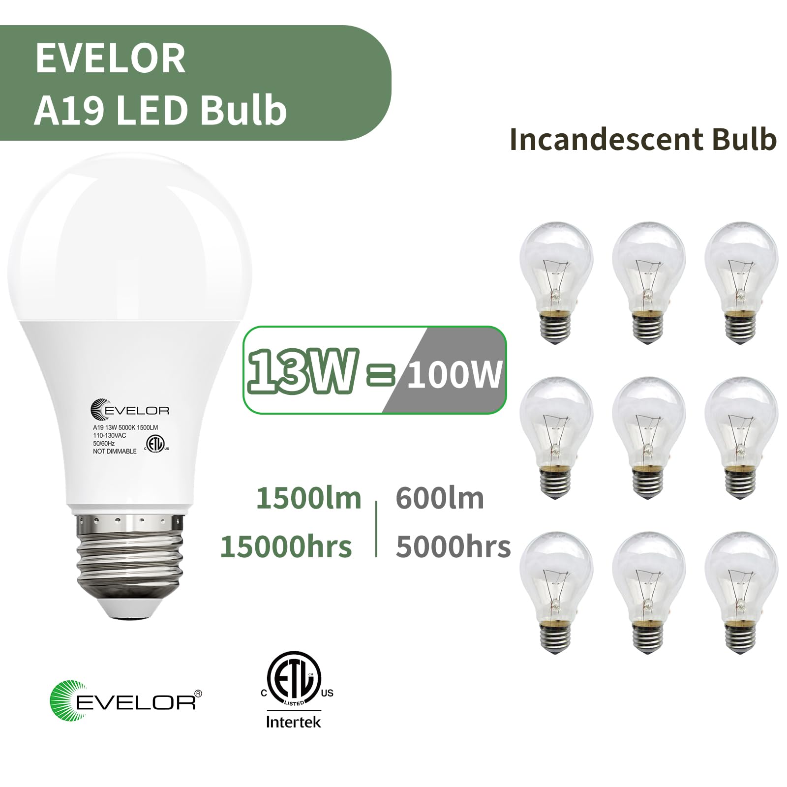 6-Packs A19 LED Light Bulbs 100 Watt Equivalent Daylight 5000K Bright Bulbs Efficient 13W 1500 Lumens E26 Base — view 3