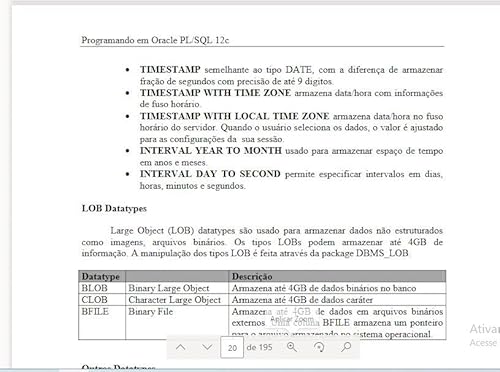 Programando com Oracle PL/SQL Procedure, Function, Trigger, View, Type, Array