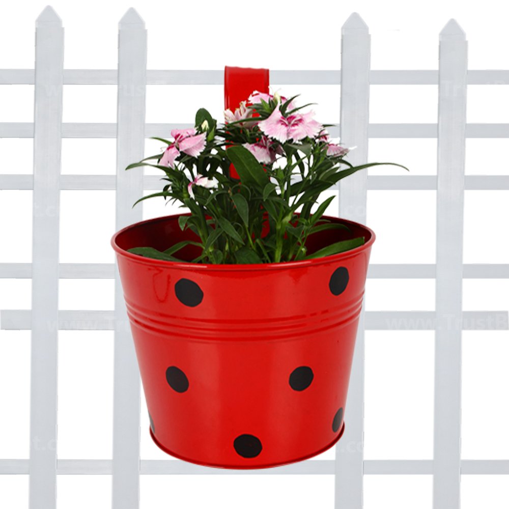 TrustBasket Single Pot Railing Plant with Polka Dots (Pack of 1) - (Red) Dotted Railing Metal Planters for Balcony and Home Gardening, Indoor, Outdoor (B01DXS7R4C) Amazon Price History, Amazon Price Tracker