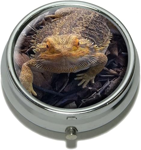 Miniatura 1 de Dragón Barbudobeardie Lagarto Reptil pastillero Joyero caja de regalo