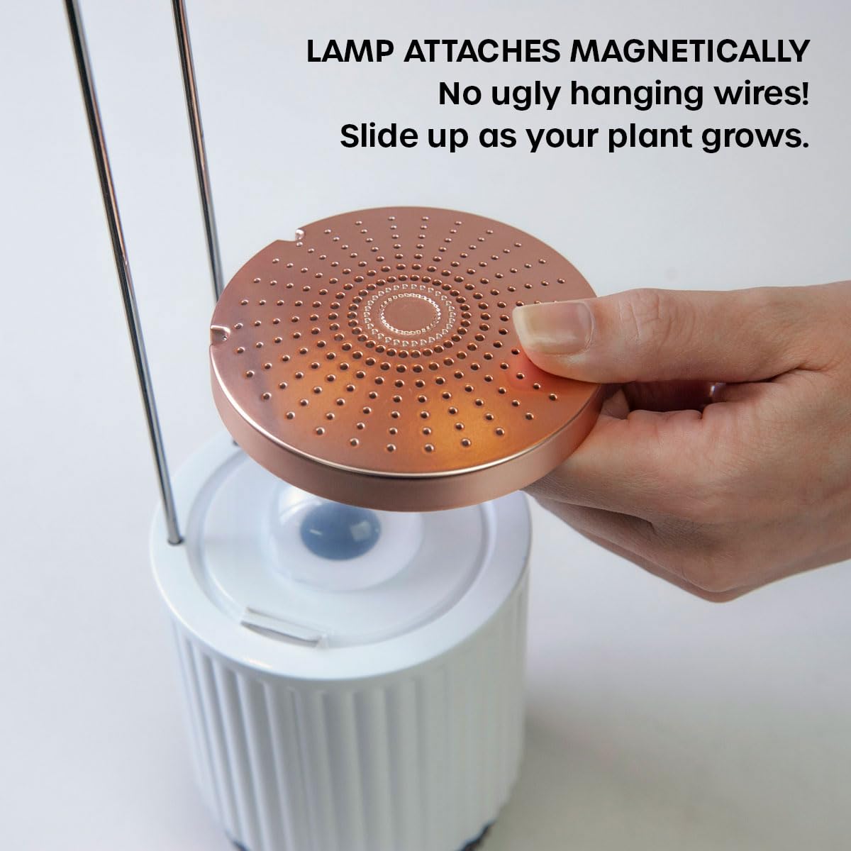 Mini Huerto Inteligente con Cápsulas de Petunia Click & Grow, Hydrovase Smart Garden, Kit de Cultivo Interior con Luz de Crecimiento LED y Autorriego