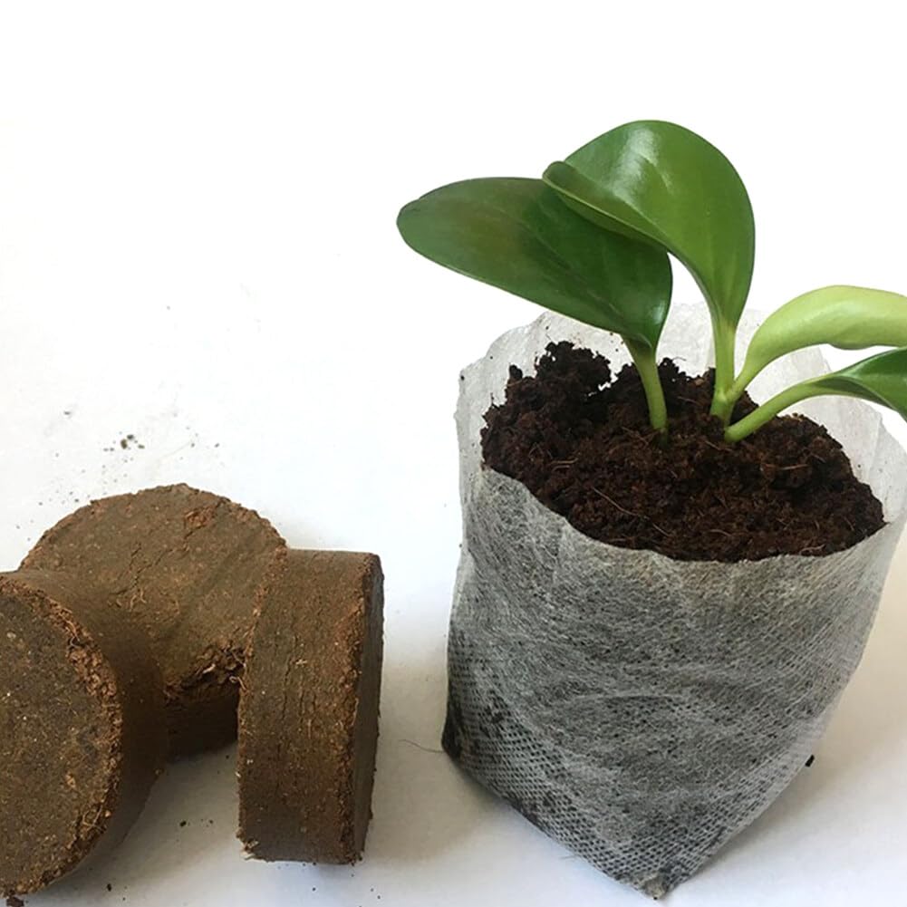 50Pcs Vassoio Per Piantine Pellet Di Torba Blocco Nutrizionale Per Coltivazione Di Piante, Torba in Dischetti Coltura Del Suolo, Avviamento Di Propagazione E Germinazione
