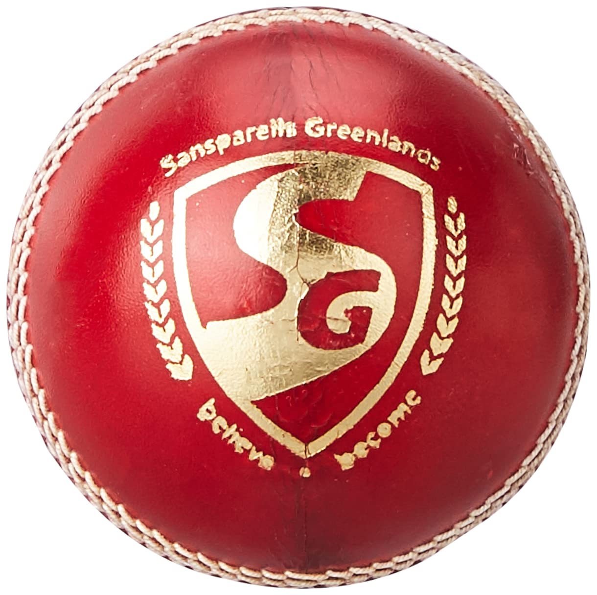 SG01CR120006 Leather Cricket Ball, (Multicolour) (B082VRRRZH) Amazon Price History, Amazon Price Tracker