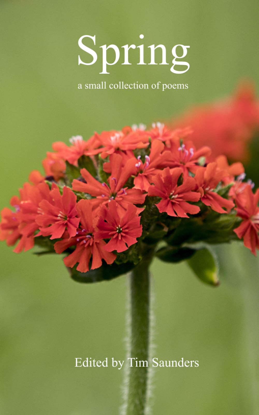 Spring: a small collection of poems: 46 (Anthologies of poetry and short stories)