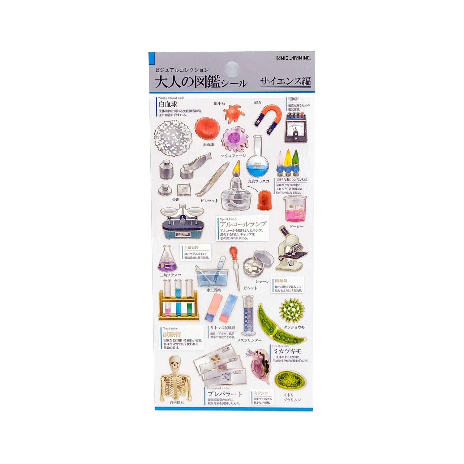 Kamio Japan Seal, Adult Encyclopedia Seal, Science 721384 : Amazon