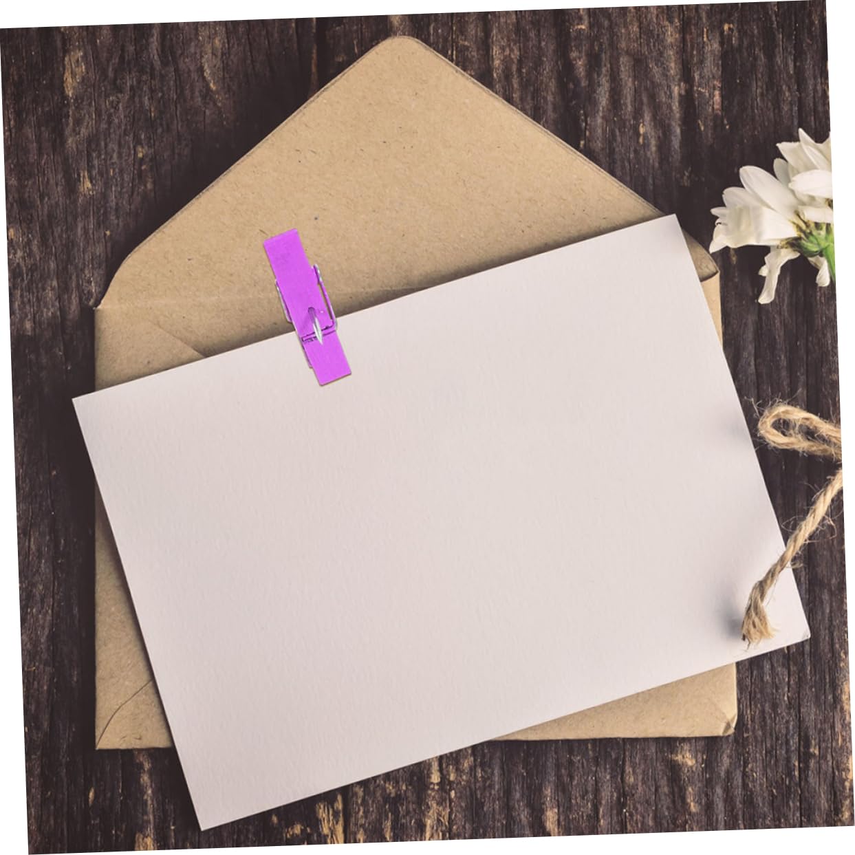 jojofuny 4 Sätze Holzclip Thumbtack Deko Stecknadeln Für Pinnwand Bastelbüroklammern Reißnägel Stecknadeln Für Kunstwerke Reißnägel Fürs Büro Rostfreier Stahl 50 Stück * 4