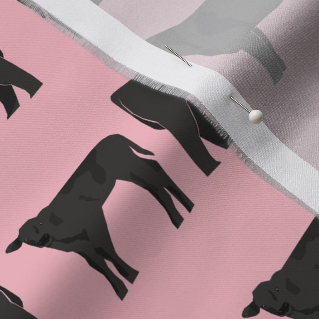 Spoonflower Fabric - Black Cattle Cow Pink Calf Cows Farm Animals Nursery Pet Portrait Printed on Organic Cotton Sateen Fabric by The Yard - Sewing Quilting Apparel Home Decor