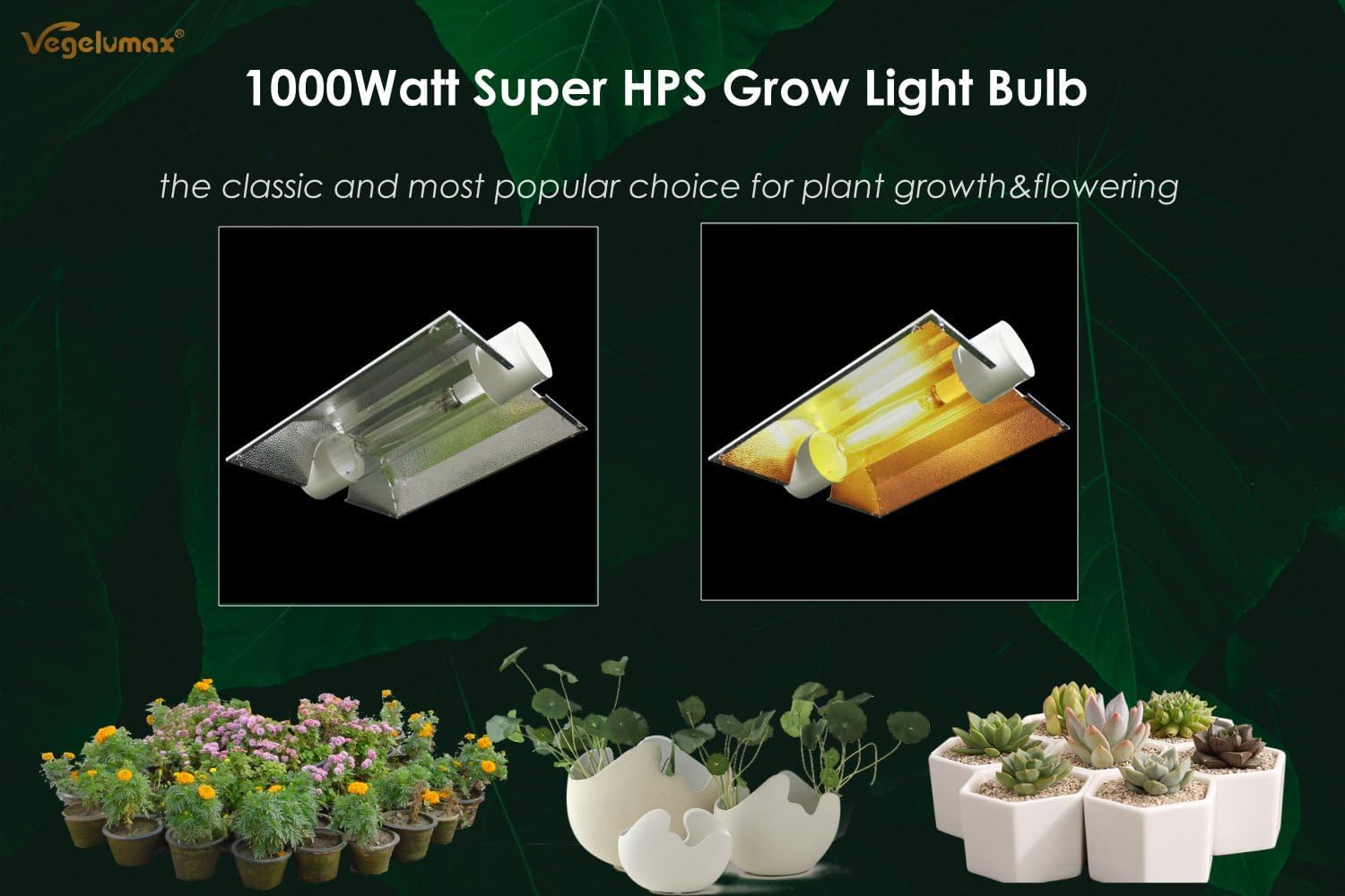 1000Watt Hydroponic High Pressure Sodium HPS Grow Light Bulb Lamp,High PAR Enhanced Red and Orange Spectrums,CCT 2100K,Ultra Bright 140,000 Lumens,E39 Base,1pack