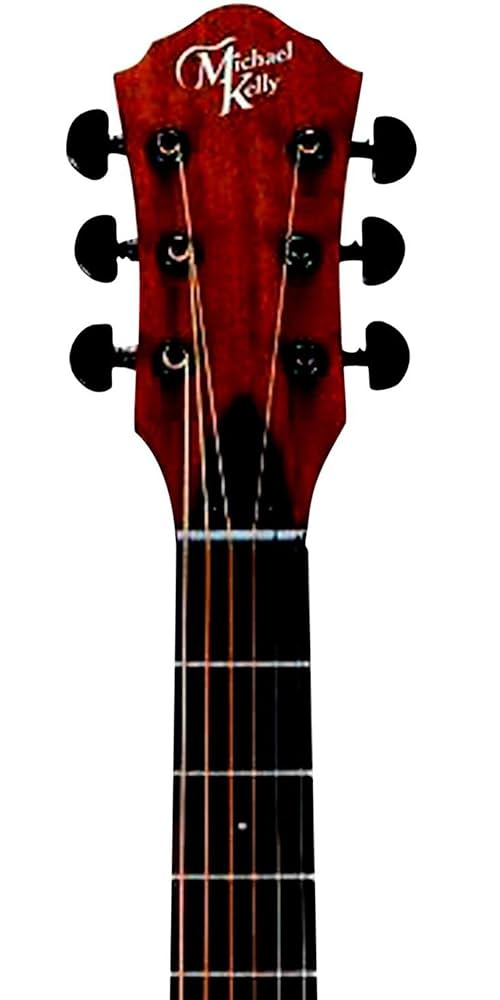 Michael Kelly エレアコ Michael Kelly Guitar Co.