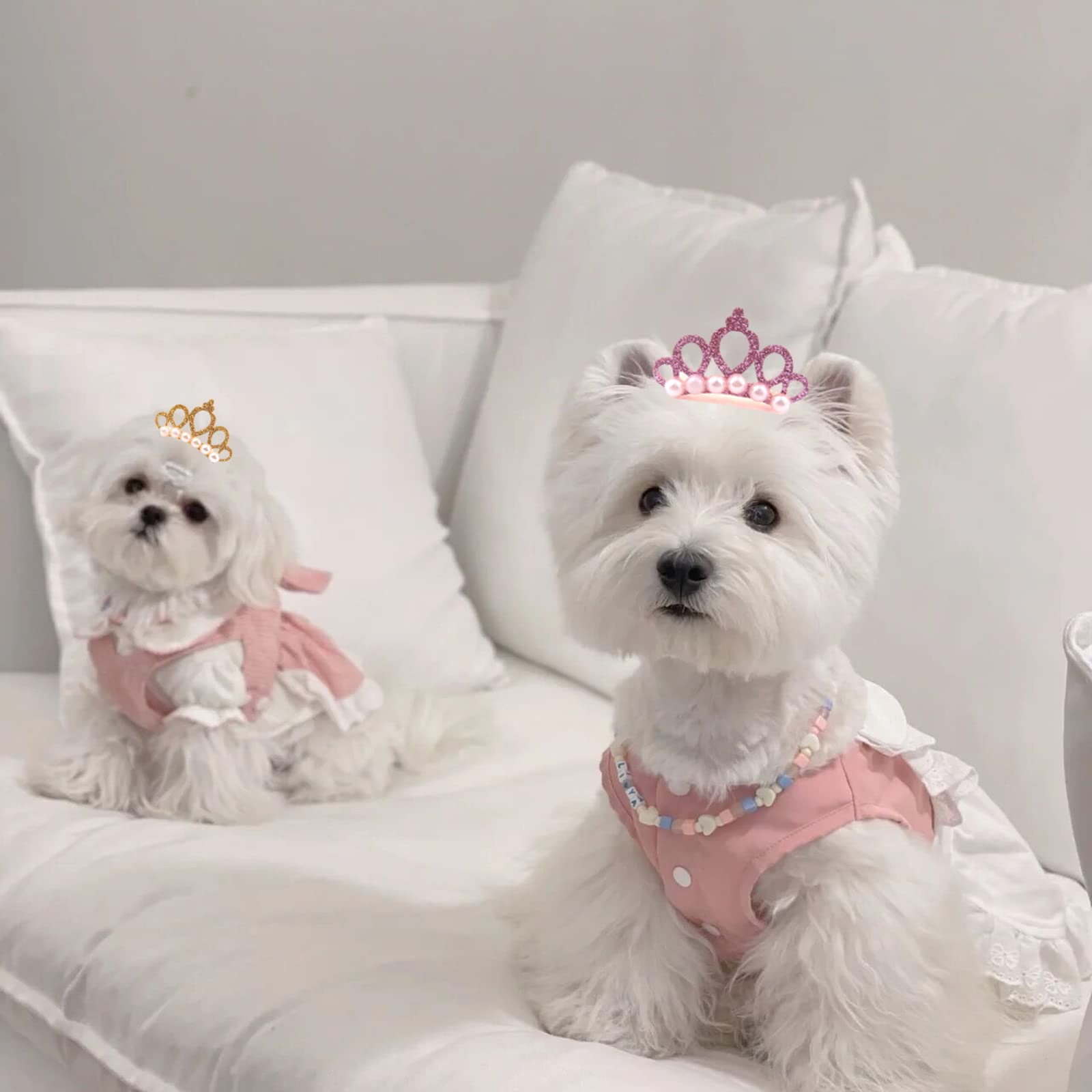 犬様ご確認用☆ベビーヘアクリップ Amazon | ZHEJIA 犬用 ヘアクリップ 王冠【10個セット】ペット髪