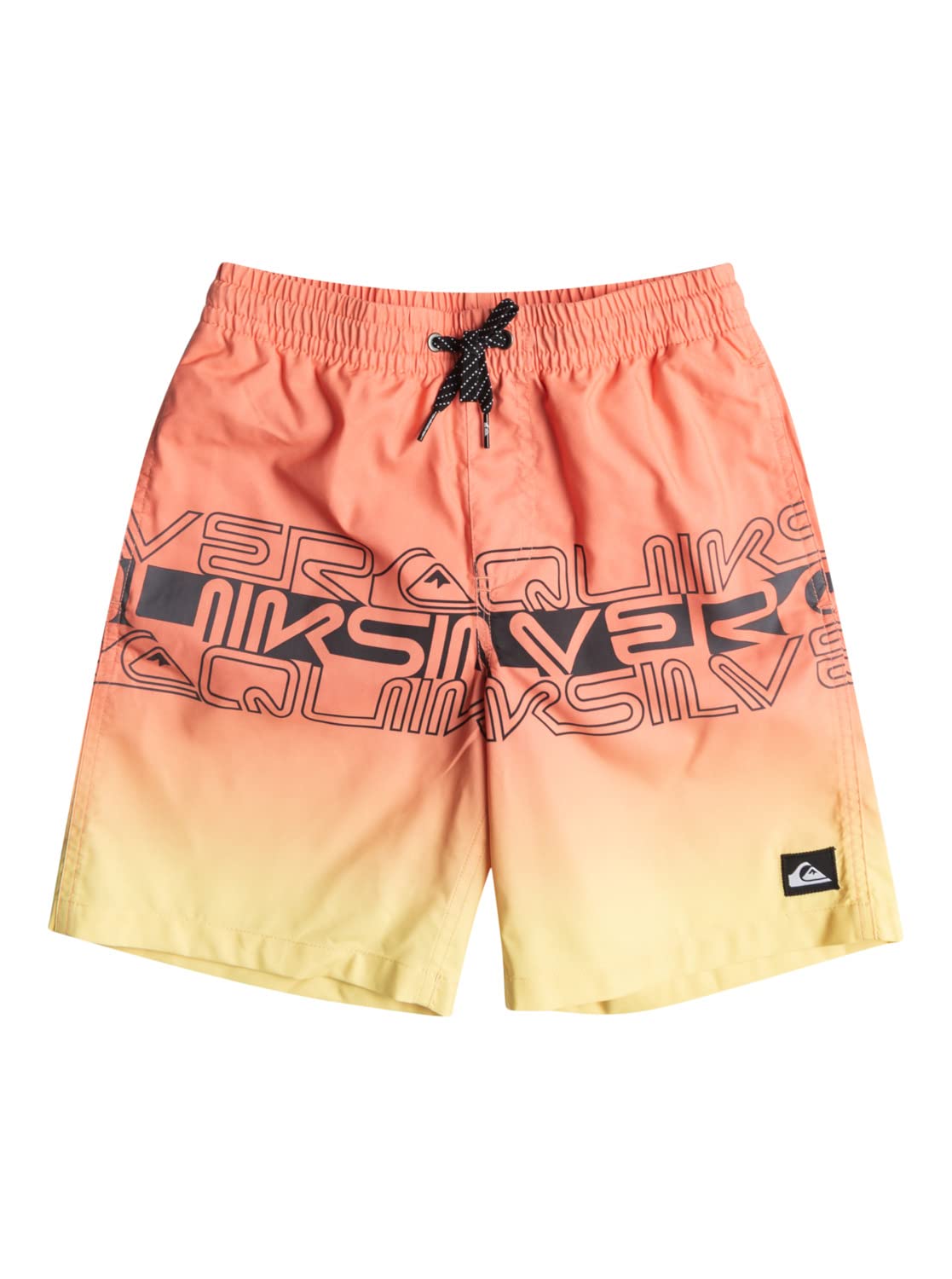 Quiksilver Boy's Everyday Wordblock Vl Yth 16 Board Shorts (pack of 1)