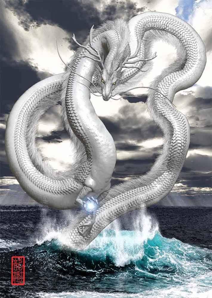 Amazon.co.jp: 龍の絵 「水龍1」 A4 竜の絵 : ホーム＆キッチン