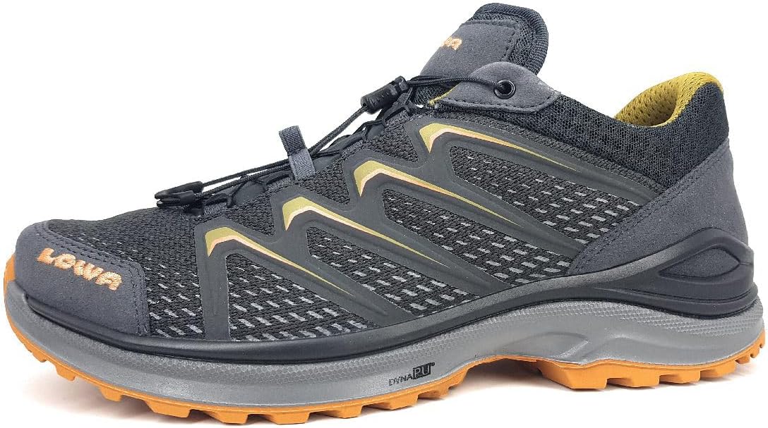 Lowa Adult Maddox GTX LO grau