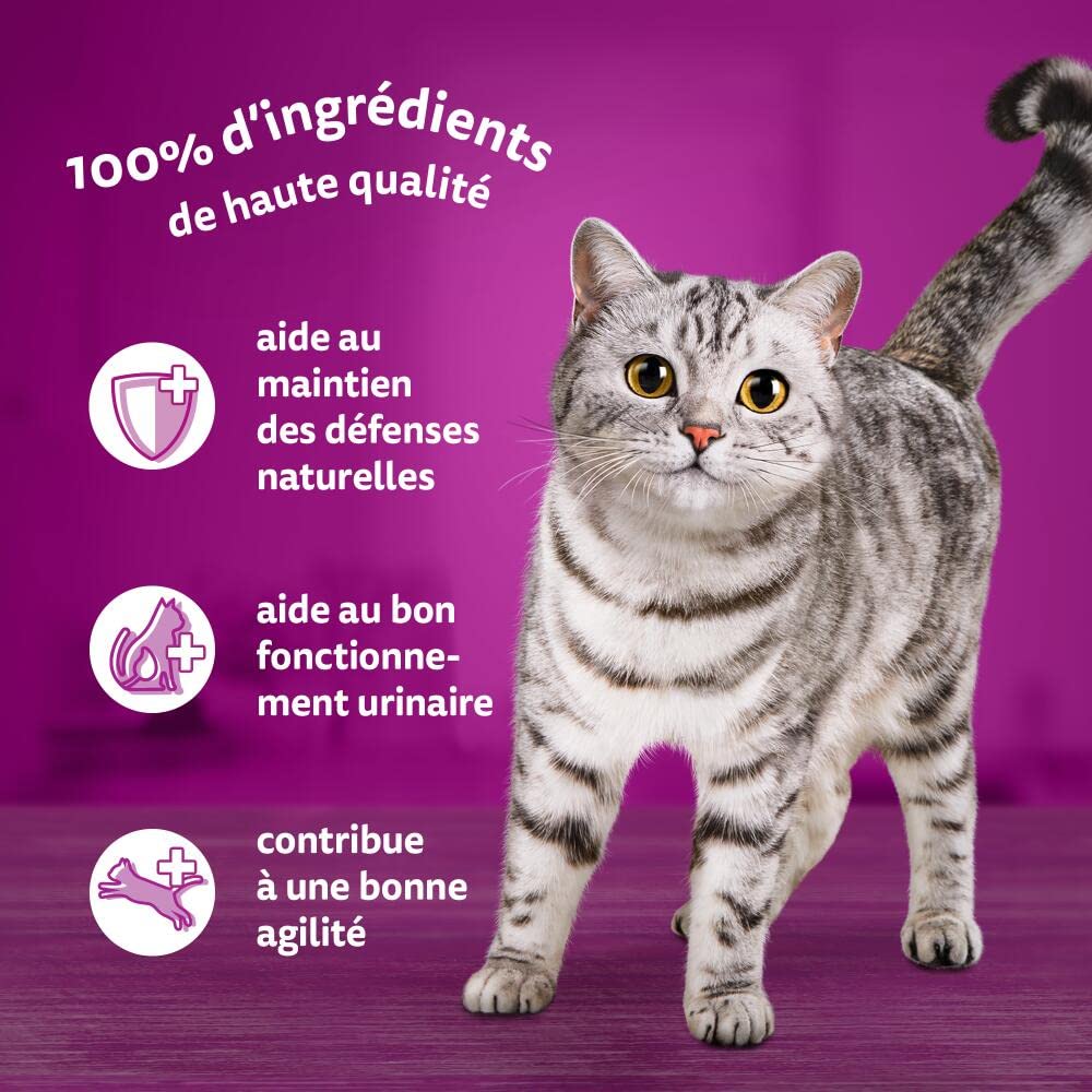 WHISKAS 7 Ans + Repas Pour Chat Senior, Lot de 84 Sachets fraîcheur de 85 g, 4 Variétés en Gelée, Nourriture Humide Chat Complète et Équilibrée