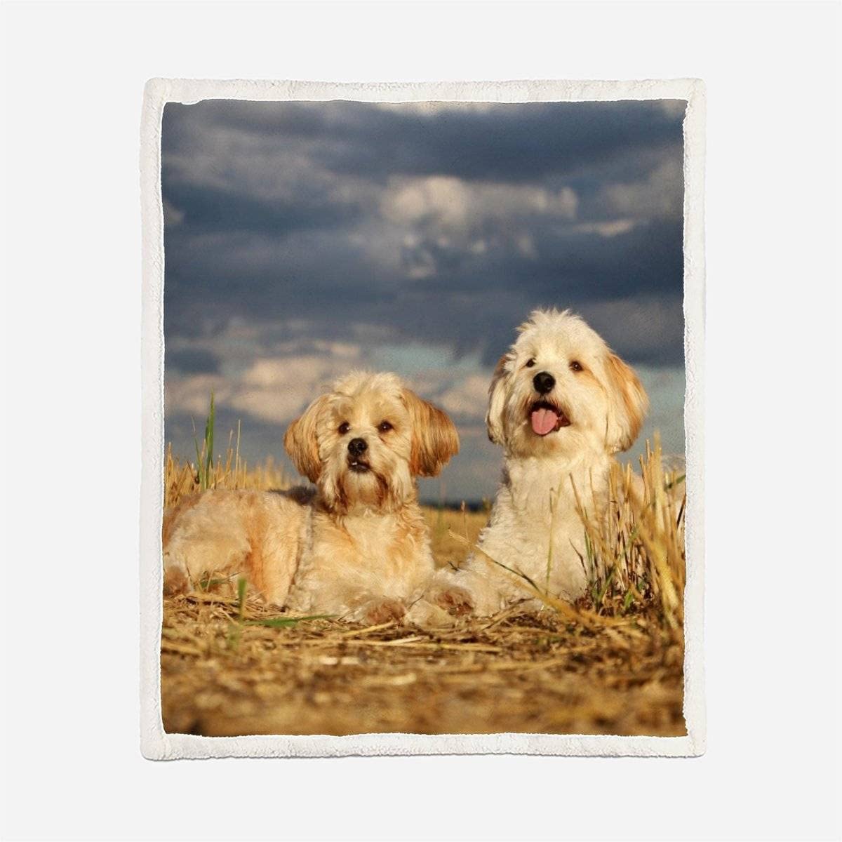 Plaid Couverture Polaire Chien Maltais 3D Chiot De Compagnie Douce Chaude Microfibre ete Hiver Couverture en Flanelle 150x200 pour Jeté de Canapé, Dessus de lit pour Enfant Fille Garcon