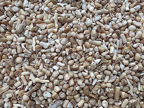Image of 2 oz Lot Natural Semi Tumbled Gemstone Chips, Crushed Mini Crystals, Undrilled Crystal Chips (White Bamboo Coral)