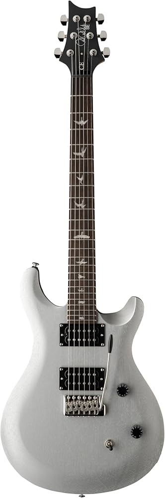 Amazon | SE CE24 Standard Satin Metallic Silver | エレキギター