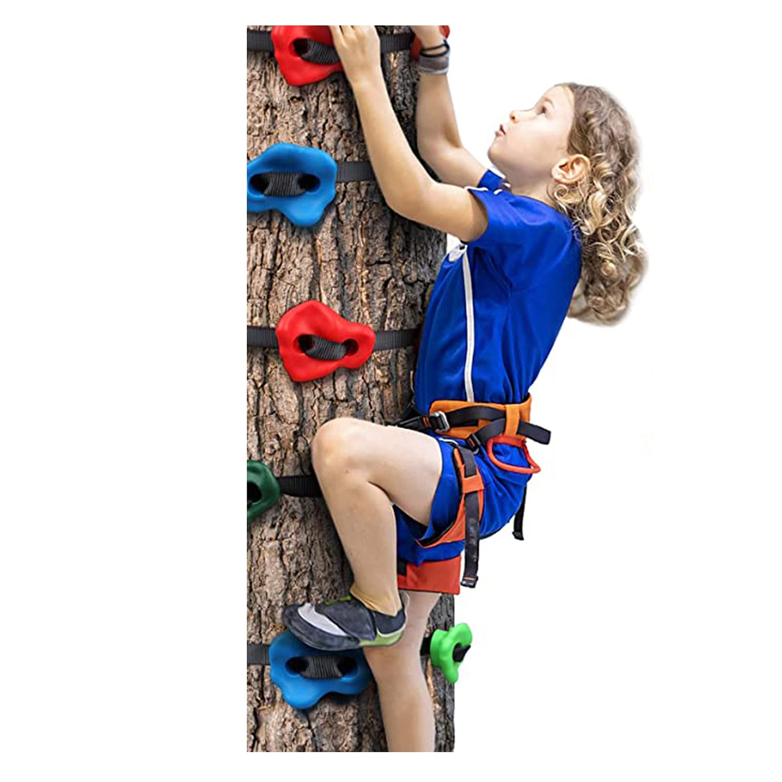 Buy Climbing Holds Outdoor Tree Climbing Stones With Ratchet Straps