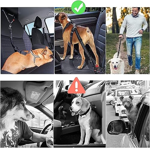 CEASELESLY 2 Stück Hund Kofferraum anschnallen,Hundeanschnaller fürs Auto,Reise & Transport für Hunde,mit Elastischer Ruckdämpfung und Starke Karabiner für alle Hunderassen Katzen