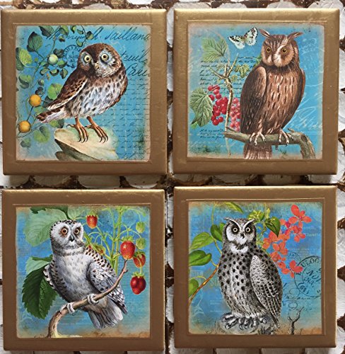 Coasters! Owl coasters with gold trim