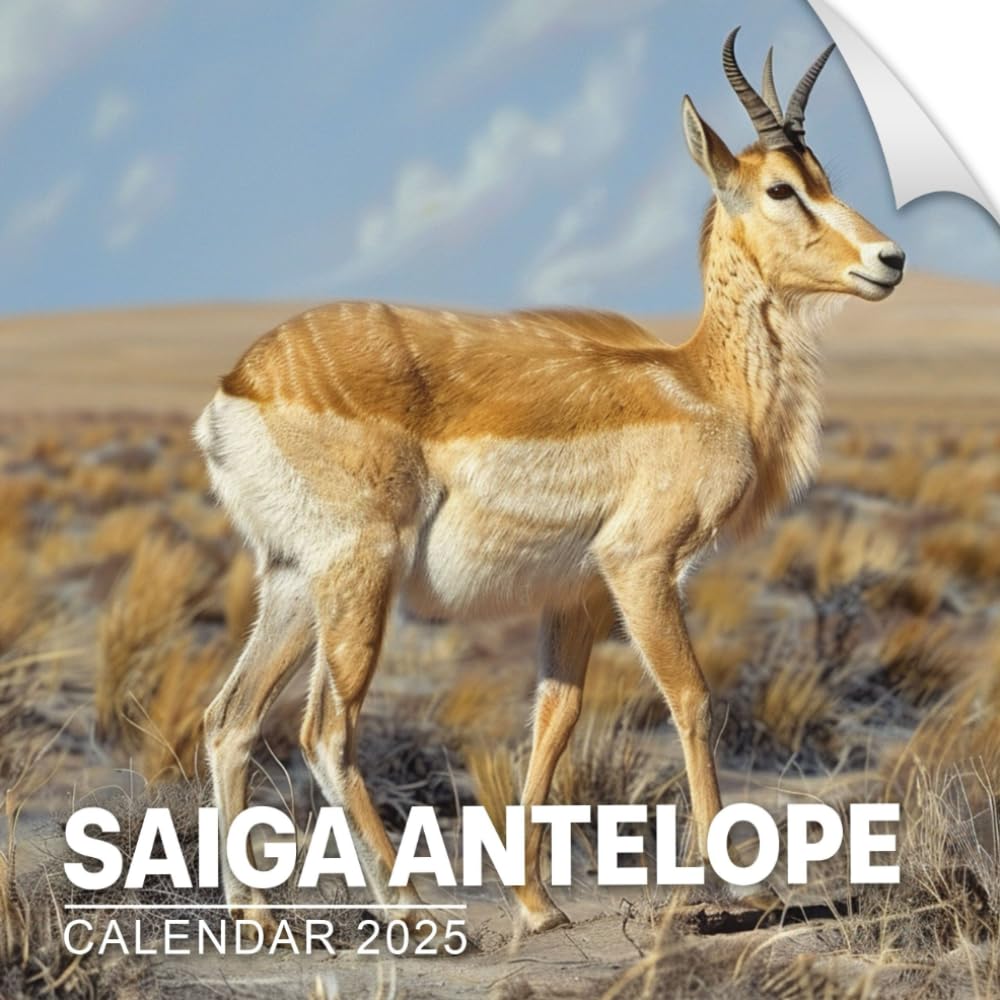 Saiga Antelope Calendar 2025: 365 Days of Adventure, Bonus Last 3 Months 2024, Perfect for Saiga Antelope, A One of a Kind Event Gift for Every Occasion, Yankee Swap, Seasonal Celebrations, Featuring