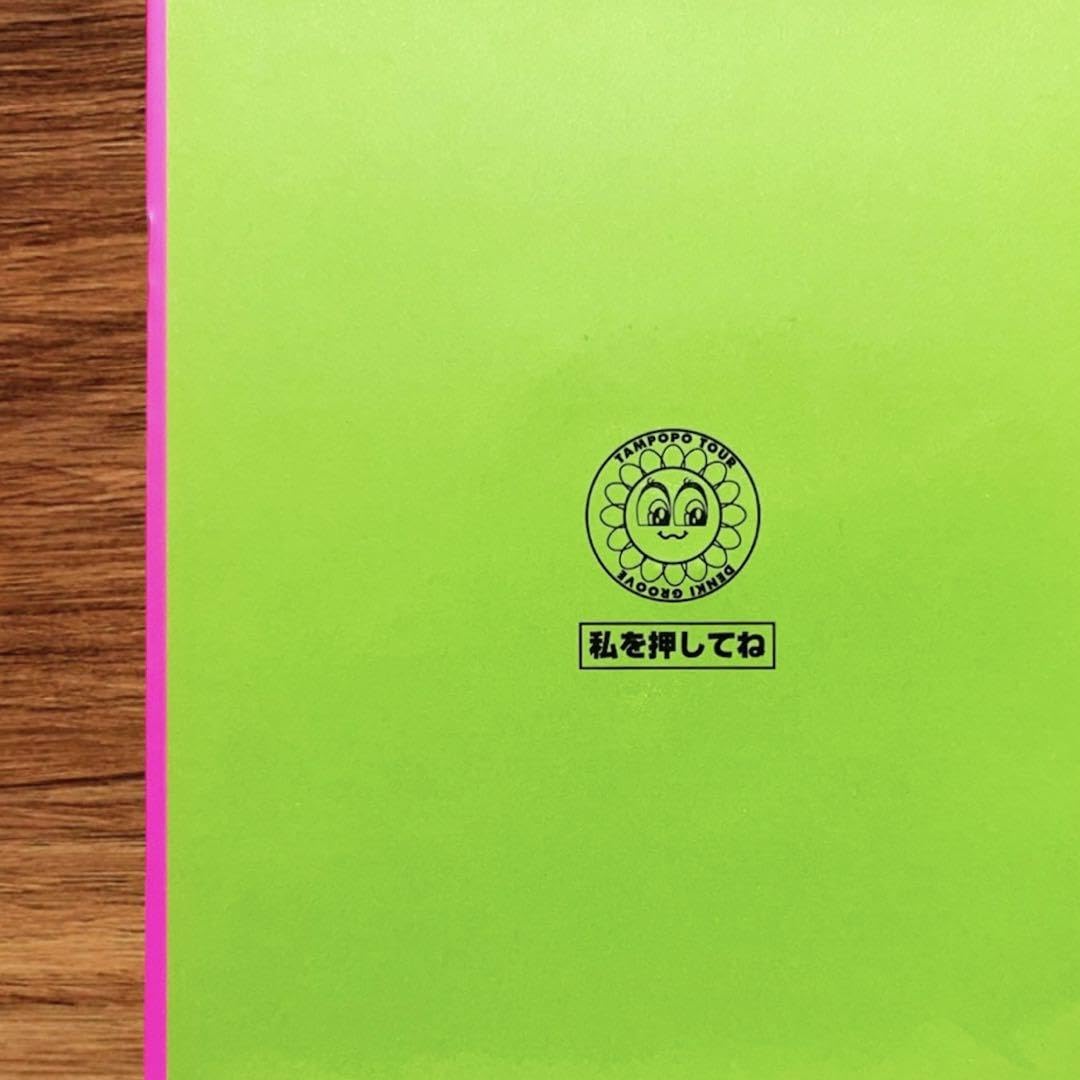 Amazon.co.jp: 電気グルーヴ たんぽぽ TOUR'94 パンフ 石野卓球