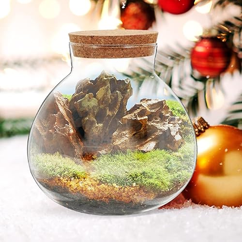 Miniatura 2 de Tarro redondo de vidrio para terrario, contenedor de terrario para plantas suculentas, brotes de terrario, jarrones, mensaje, botella de deseos con