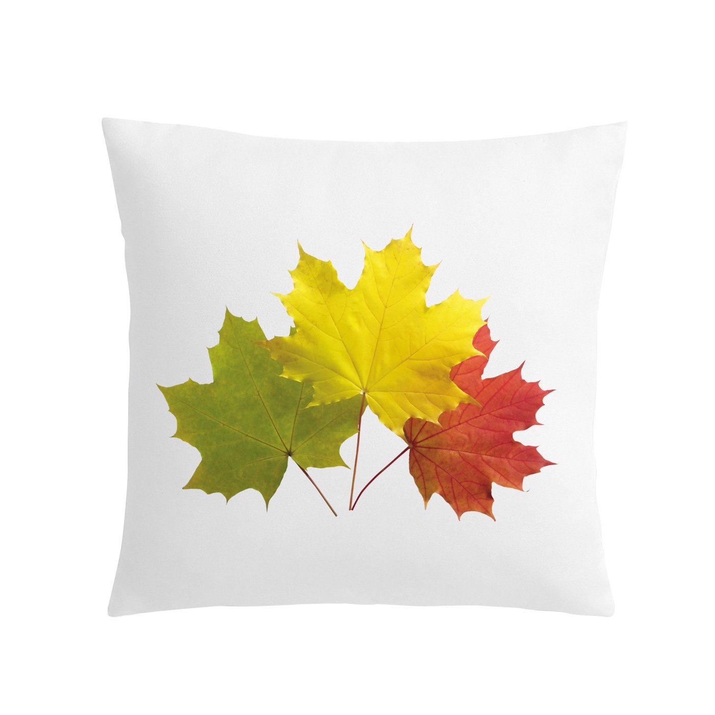 Leaves Theme Printed Cushion Cover (12x12 Inches)-image-27