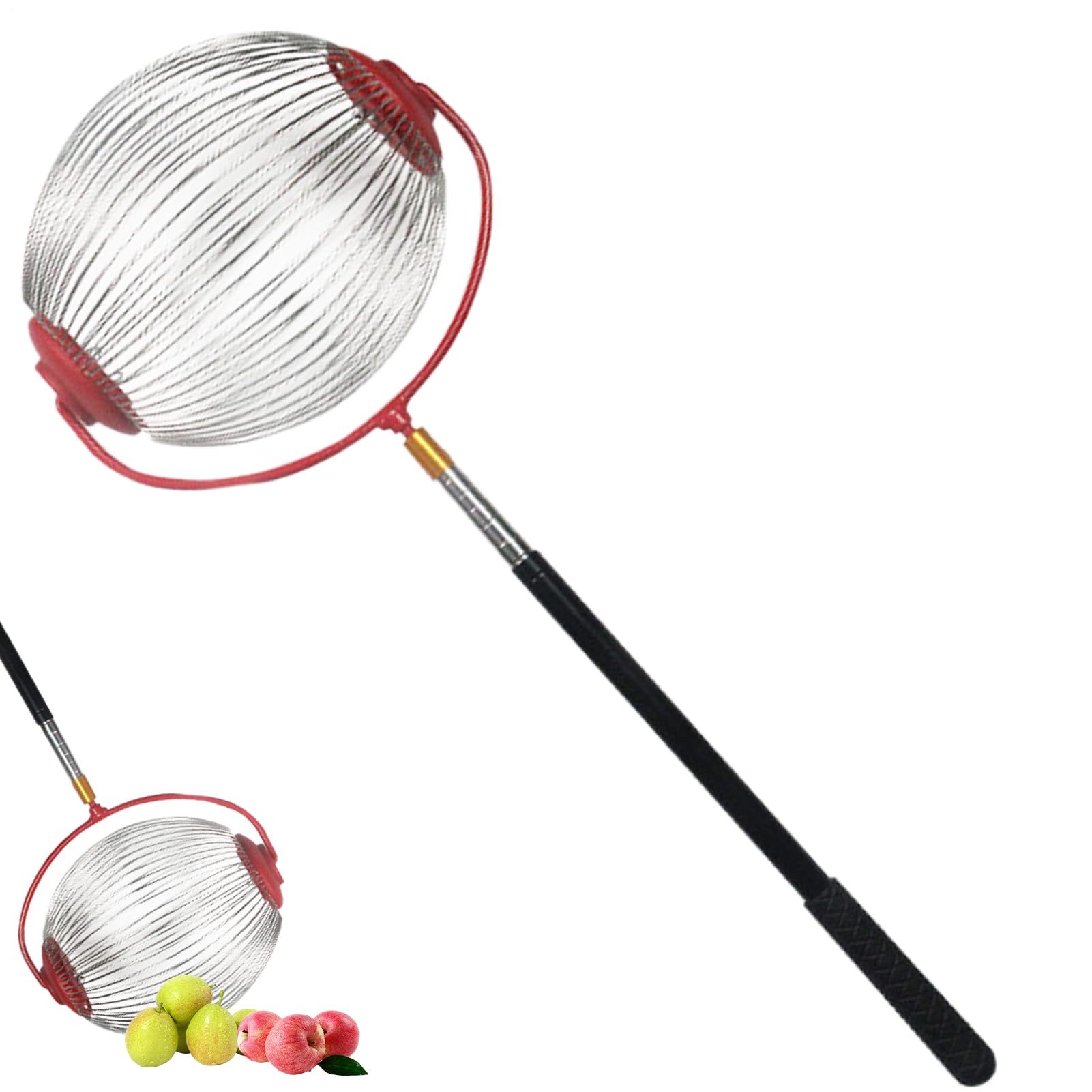 Raccogliere Noci e Frutta in Acciaio Raccoglitore di Castagne e | Noci con Manico ergonomico Strumento di Giardinaggio per la Raccolta Rapida di nocciole Marroni e Frutta Caduta