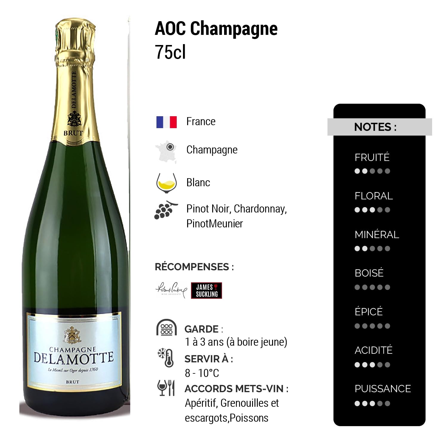 Champagne Brut ETUI - Blanc - Champagne Delamotte (75cl)