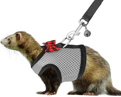 RYPET Arnés y correa para animales pequeños, arnés de malla suave para mascotas pequeñas con campana segura, chaleco acolchado cómodo sin tirones