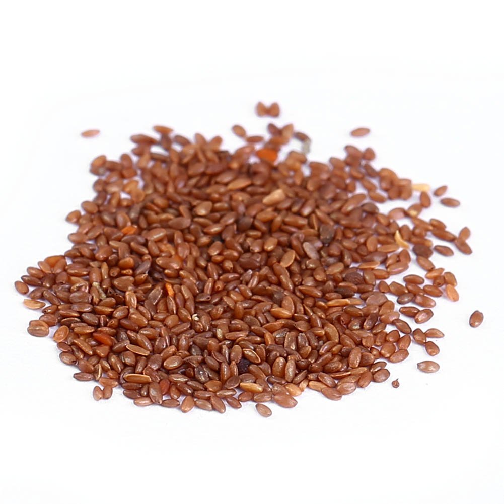 Mixed Color Hyacinth Seeds, 100Pcs Hyacinthus Orientalis Seeds, Perennial Ornamental Plant Flower Seeds for Garden, Balcony & Courtyard Decor