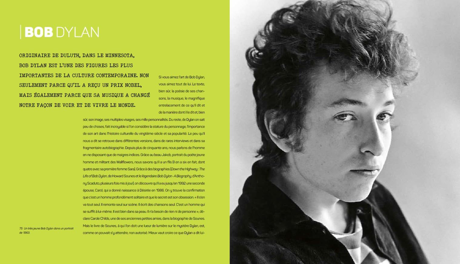 Les grands noms du Rock: 86 artistes de légende