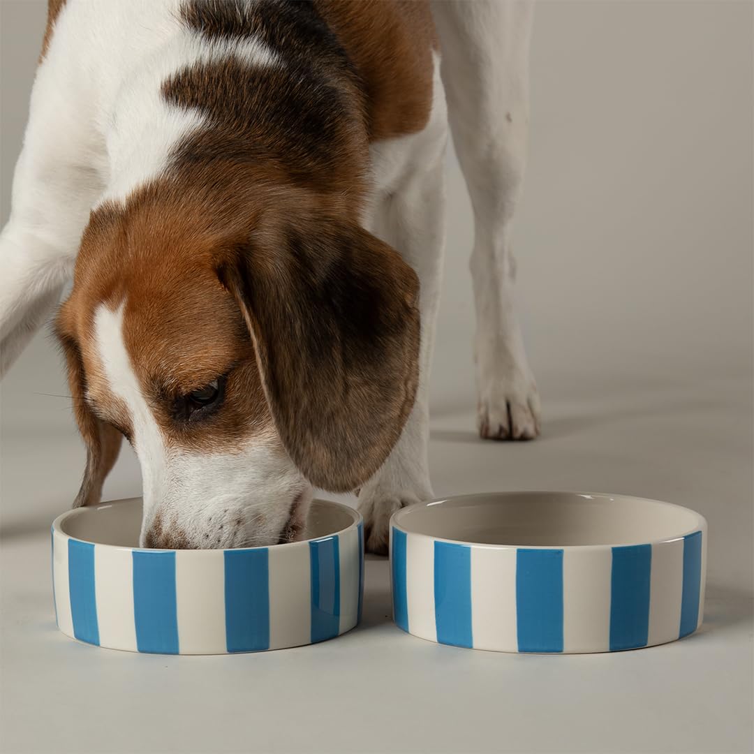 Amalfi Striped 2 Piece Dog Bowl Food & Water Bowl Set - Blue - 19cm