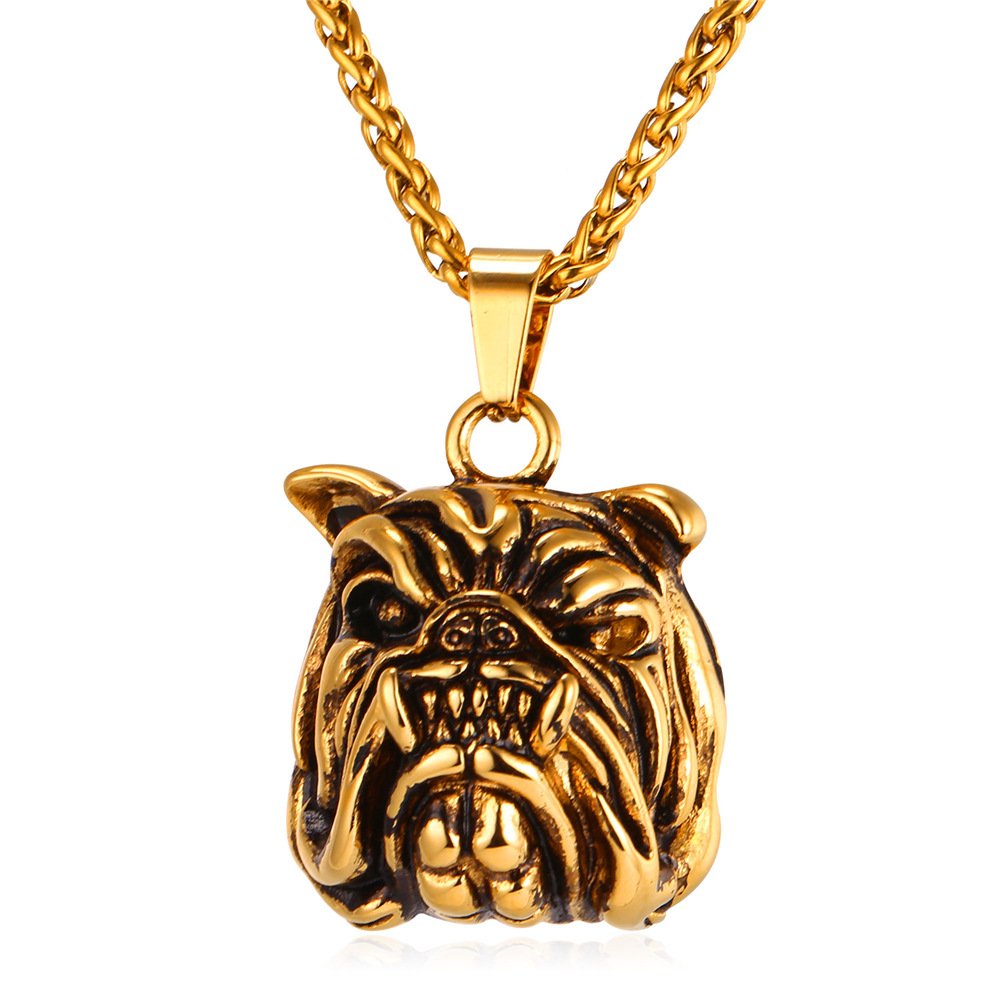 american bully with gold chain