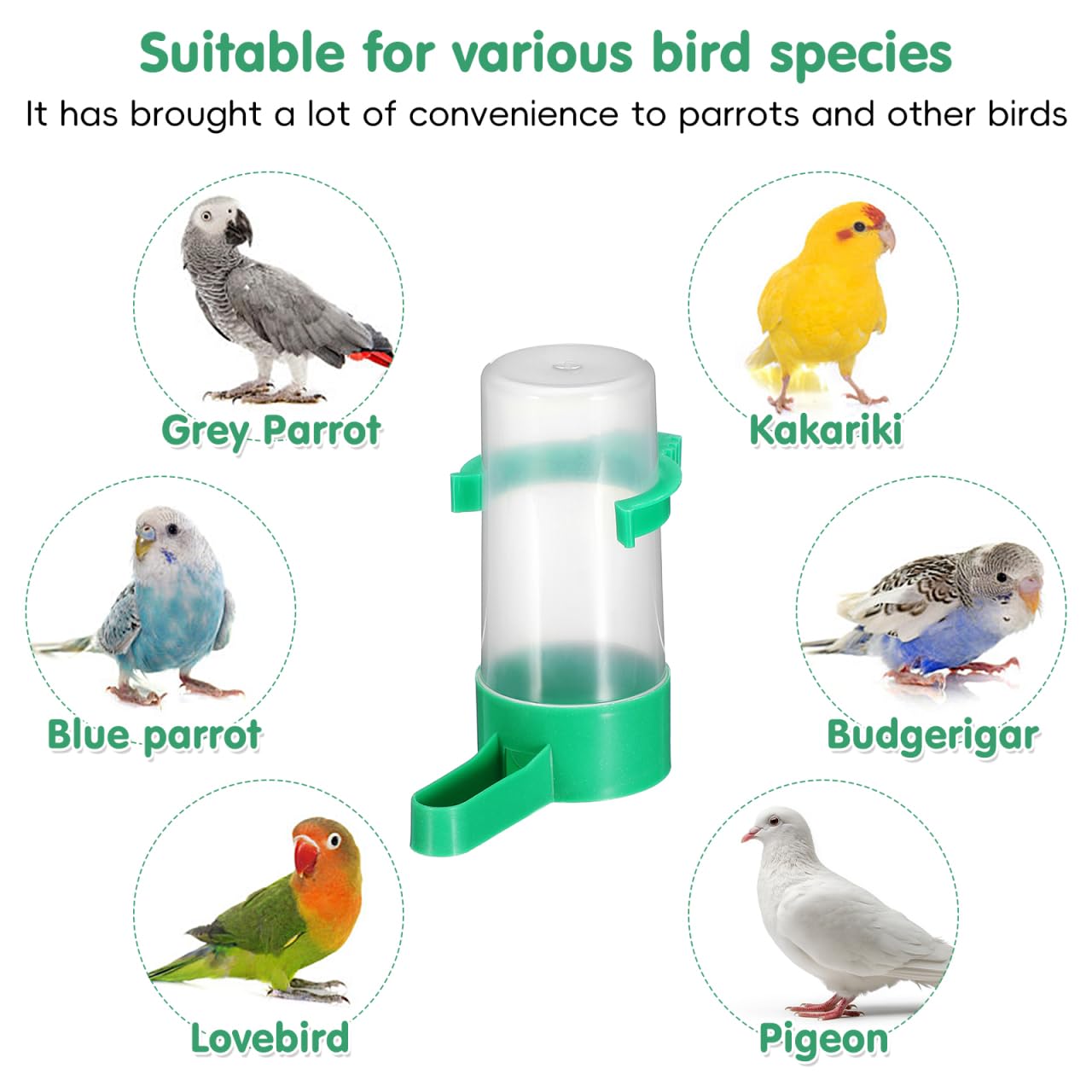 Hohopeti Distributeur d'eau Automatique pour Oiseaux en Cage 10 Pièces Abreuvoir pour Perroquets Et Pigeons Anti-Gaspillage 60Ml Bec Incliné Fixation Universelle en Plastique Abs Robuste