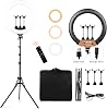 22 بوصة LED Ring Light 3200-6500K Lighting Kit 600pcs LED Beads with Light Stand & 3 حاملات الهاتف للهواتف الذكية YouTube Tik Tok Live Stream Portrait Makeup Vlog Video Photography