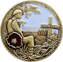 Lest We Forget Red Poppy Pin Badge Brooch Remembrance Day Decorations Veteran Gifts Memorabilia