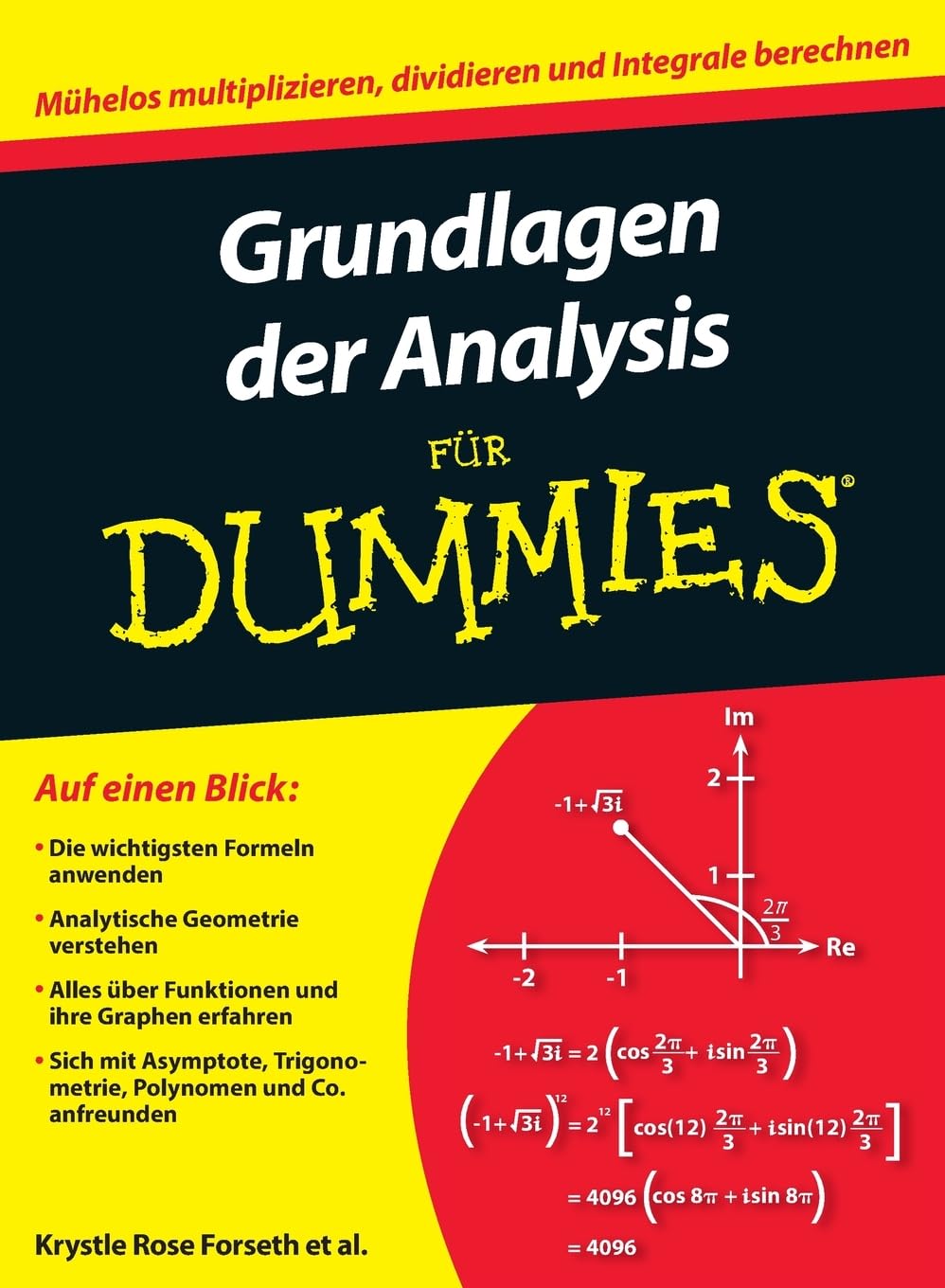 Grundlagen der Analysis für Dummies