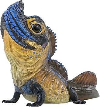 61jk1g5ETCL._AC_UF350, 61jk1g5ETCL._AC_UF350,